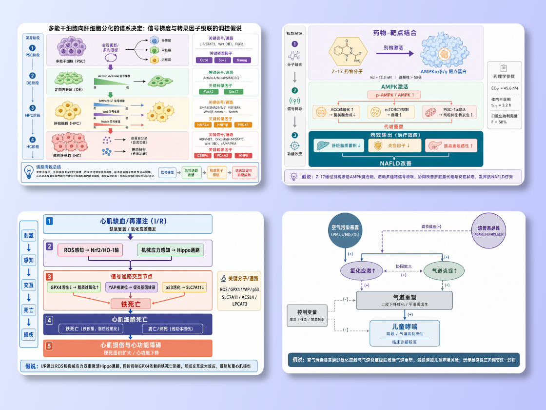 假说机制图_AI一键生成科学假说机制图-picdoc